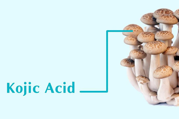 Kojic acid là gì? Kojic acid có tác dụng gì với làn da của bạn